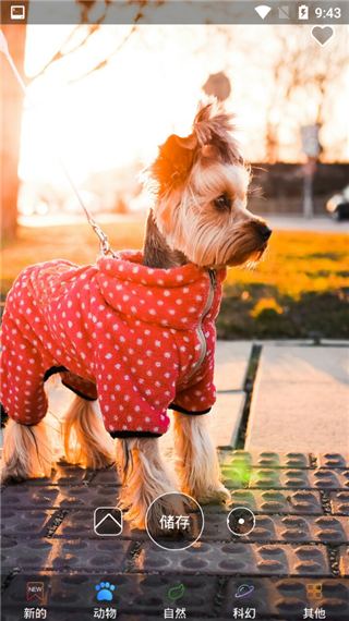 4K高清壁纸精灵(3)