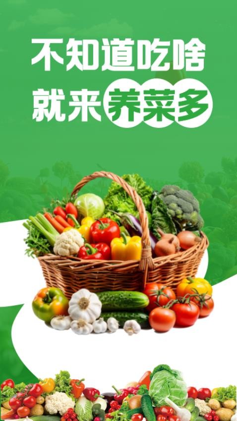 养菜多(3)