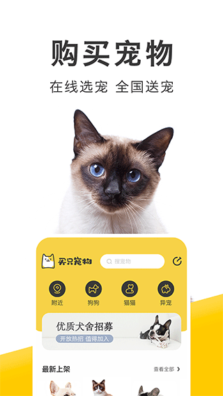 买只宠物(4)