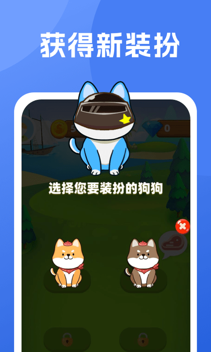 柴犬日记(1)