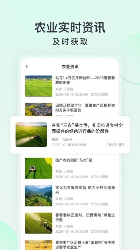 马力多(1)