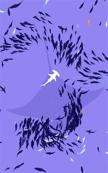 鱼群(2)