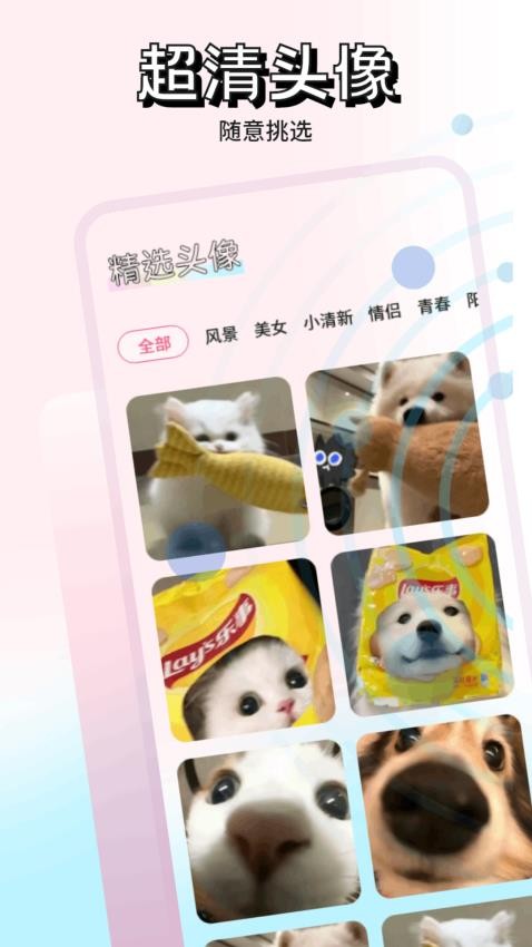 熊猫壁纸(2)