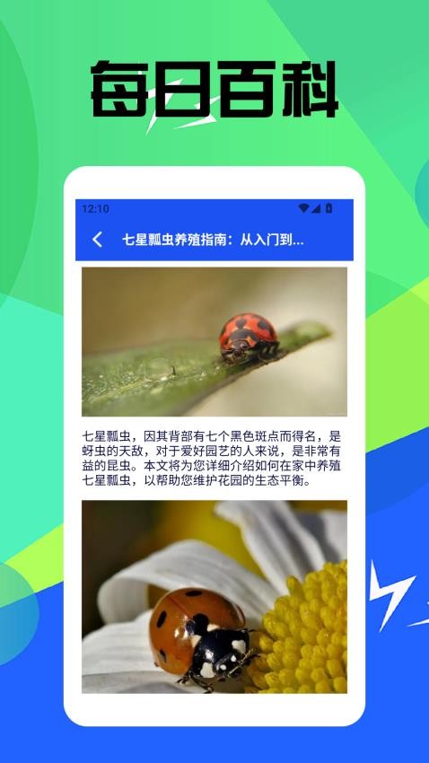 虫虫趣玩(1)