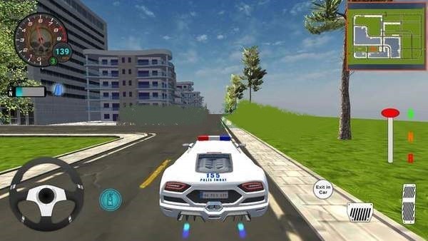 豪华警车2021(2)