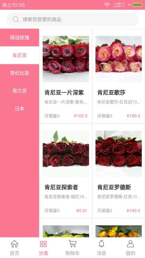 宋宇花城(2)