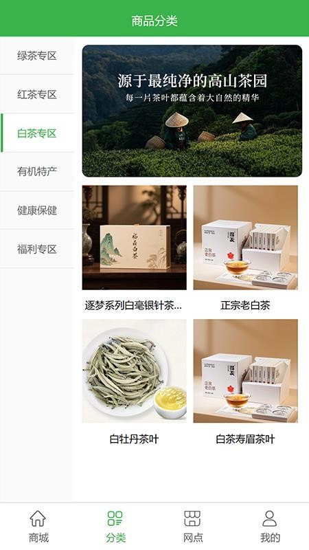 逐夢茶園(2)