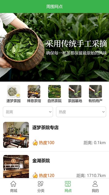 逐夢茶園(1)