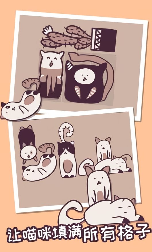井然有猫(2)