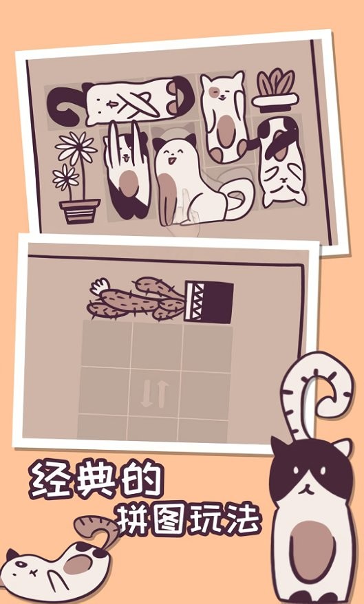 井然有猫(4)