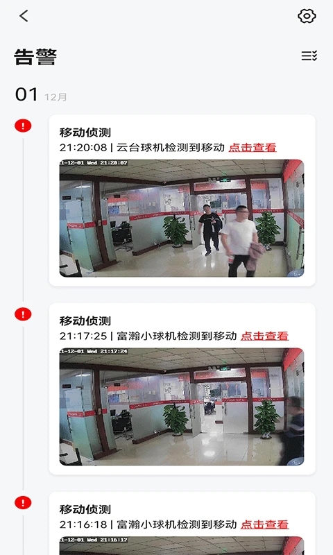 小强当家(3)