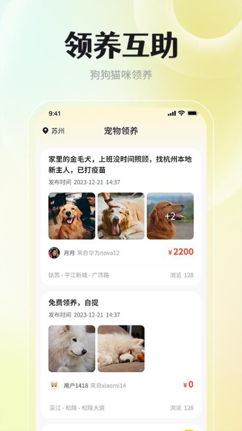 宠物领养互助(1)