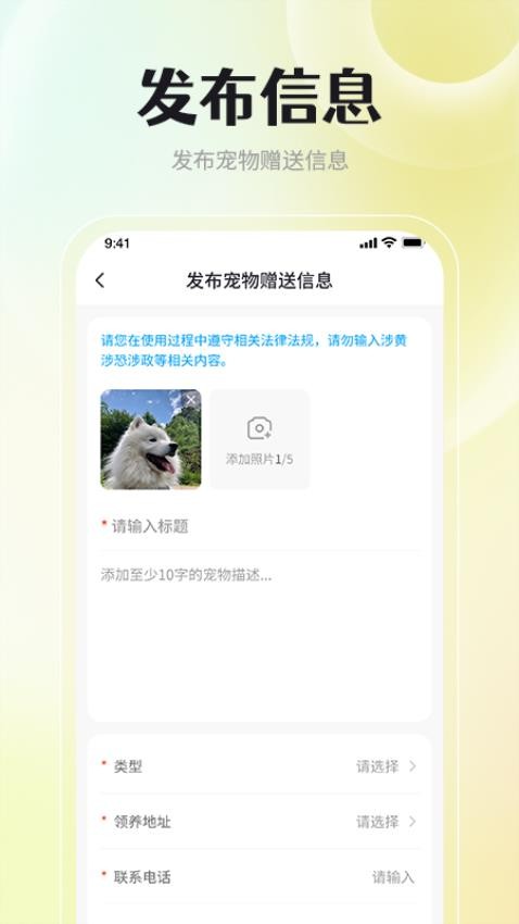 宠物领养互助(2)