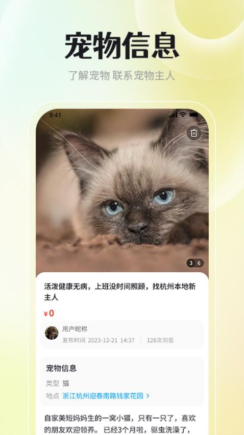 宠物领养互助(3)