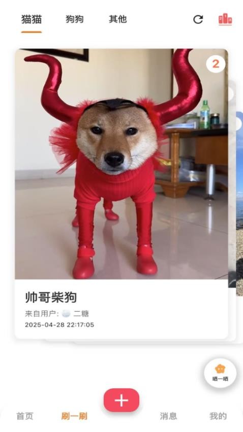 爪爪巴士(3)