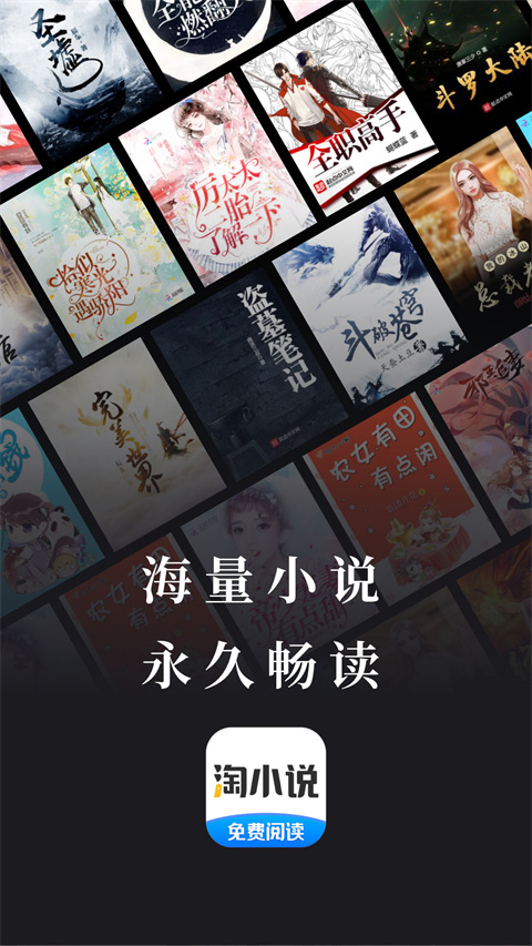 淘小說正版(1)