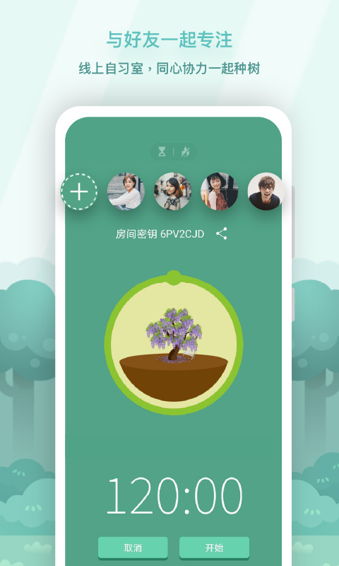 forest專注森林(1)