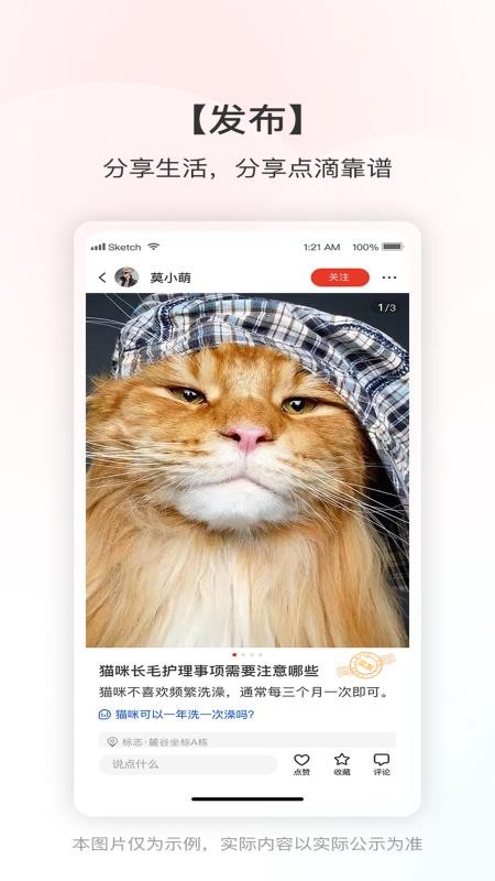 靠譜幫(1)