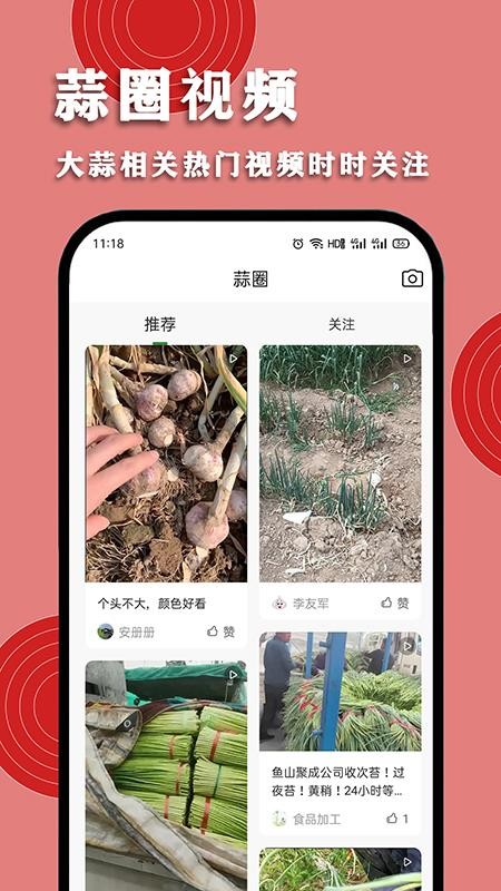 华蒜网(1)