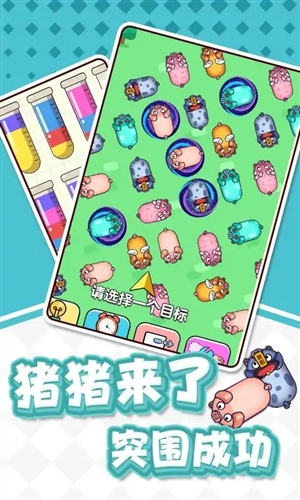 豬了個豬吖(3)