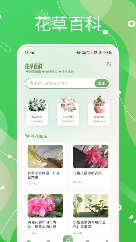 芙蓉花語(1)