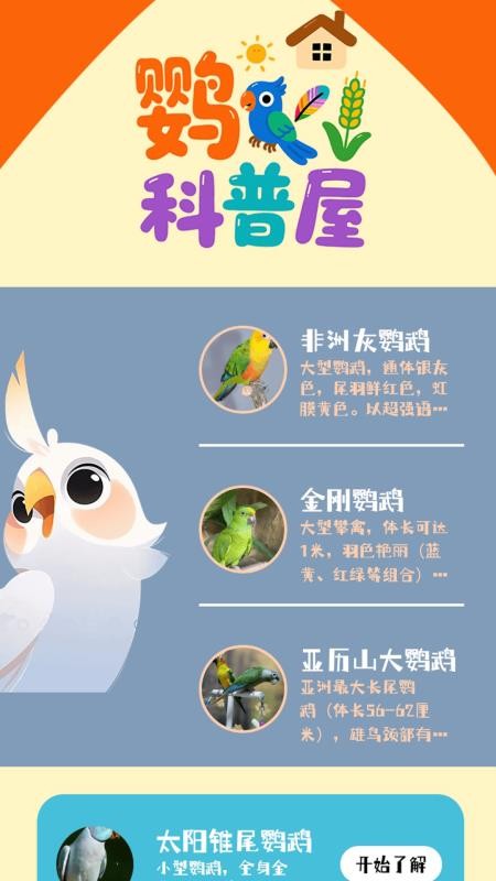 虎皮鸚鵡之屋(2)