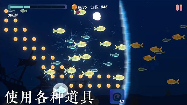 小鱼(4)