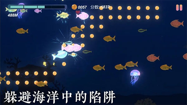小鱼(2)