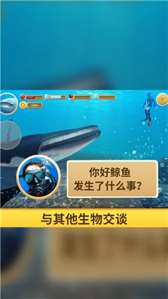 海洋3d藍(lán)鯨模擬(3)