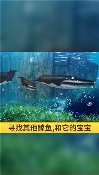 海洋3d藍(lán)鯨模擬(2)