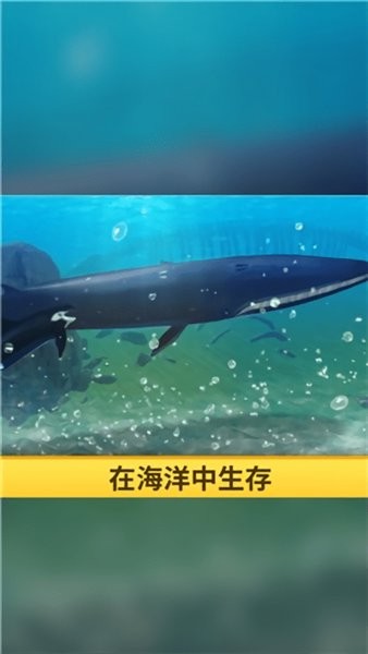 海洋3d藍(lán)鯨模擬(4)