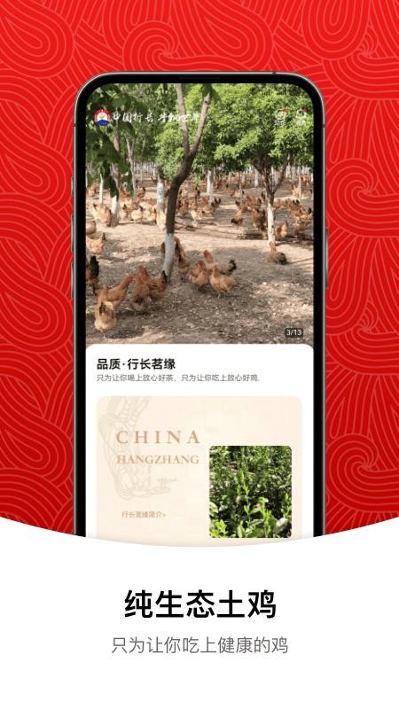 行長茗緣(3)
