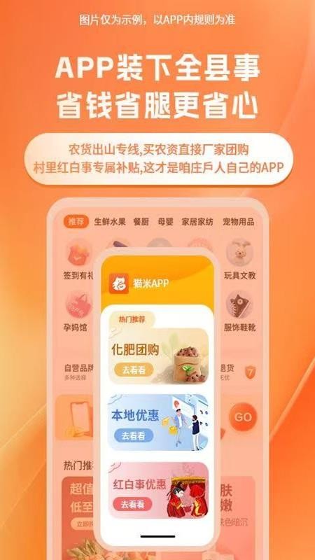 貓米(4)