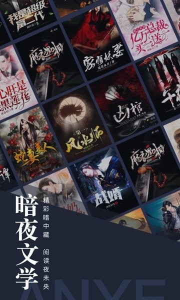 暗夜文学网(2)