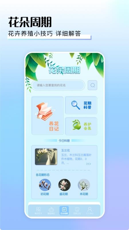擺花齊放(4)