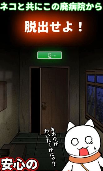 白猫与废弃医院(1)