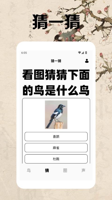 孤独的鸟类大全(3)
