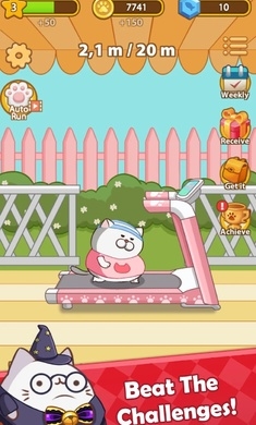 奔跑小猫(1)
