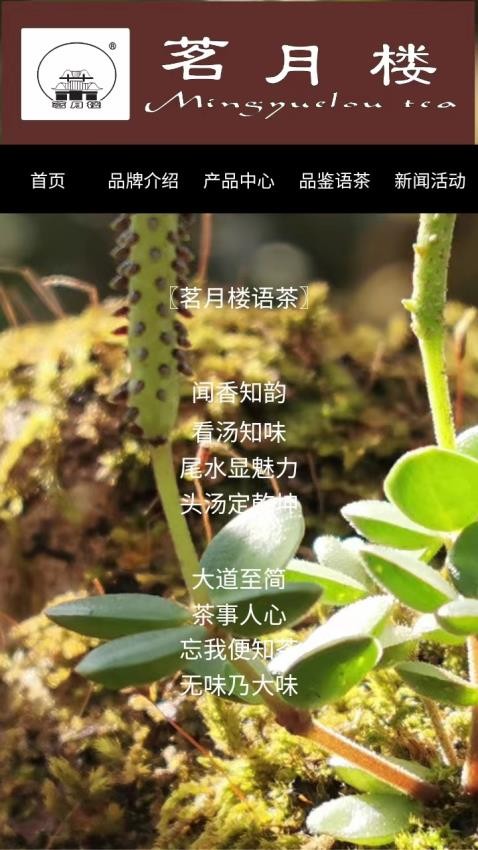 茗月楼茶业(4)