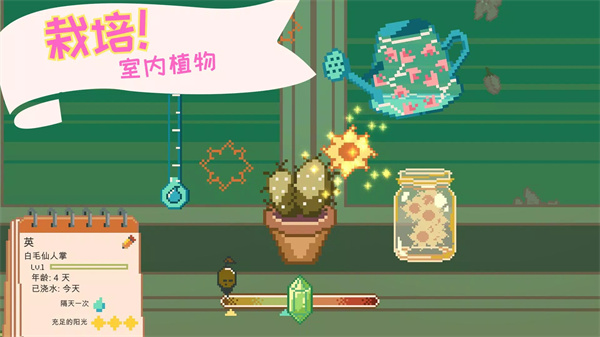 窗邊花園(3)