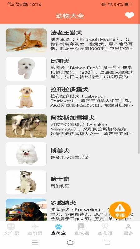 萌趣查高铁飞机票(1)