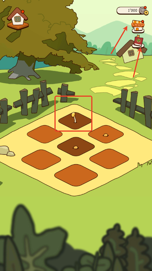 有机蔬菜农场(3)