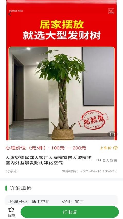 苗木嘉(4)