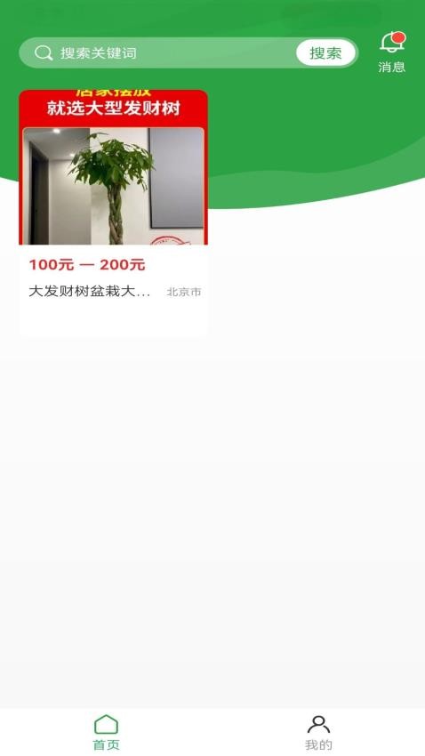 苗木嘉(2)
