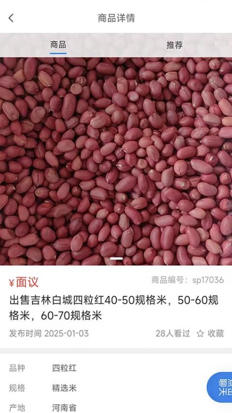 精英农商(5)