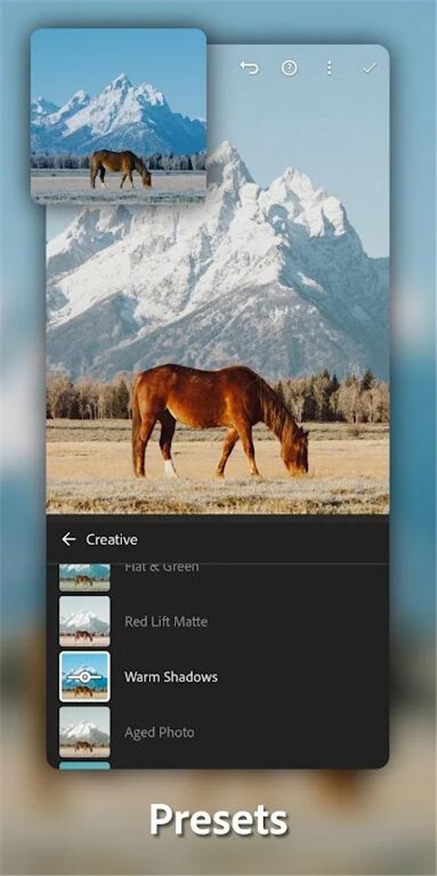 lightroom官方正版(3)