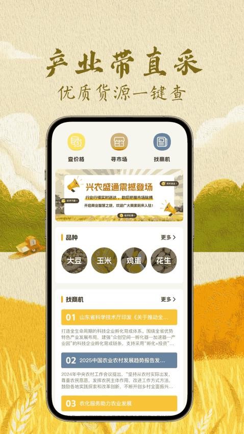 兴农盛通(3)