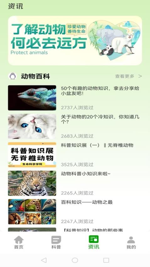 动物世界大全(3)