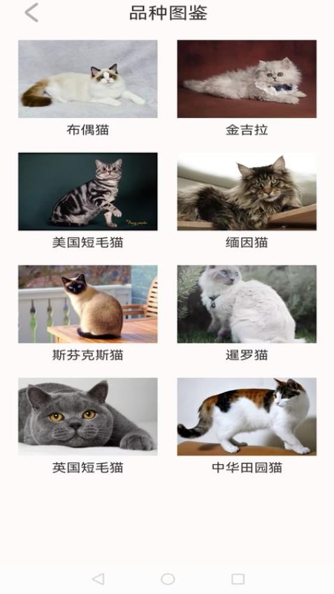 动物世界大全(2)