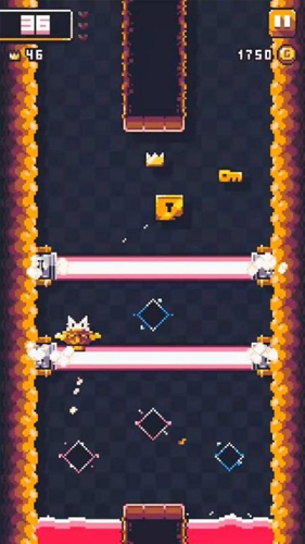 加油吧兔子王(4)